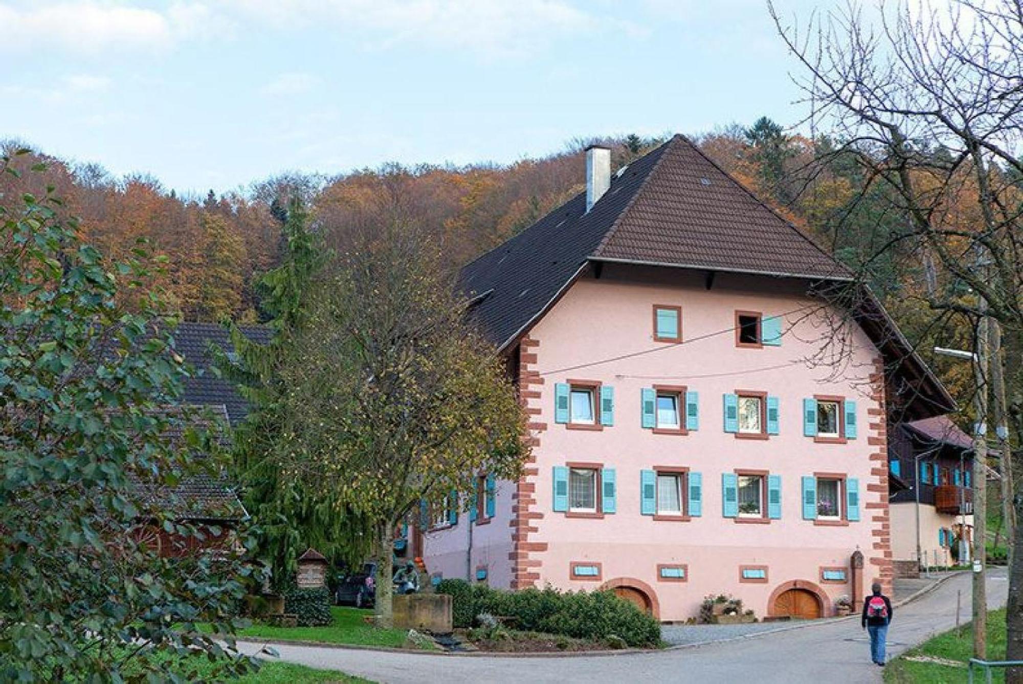 Schuttertal Ziegelhof 아파트 외부 사진
